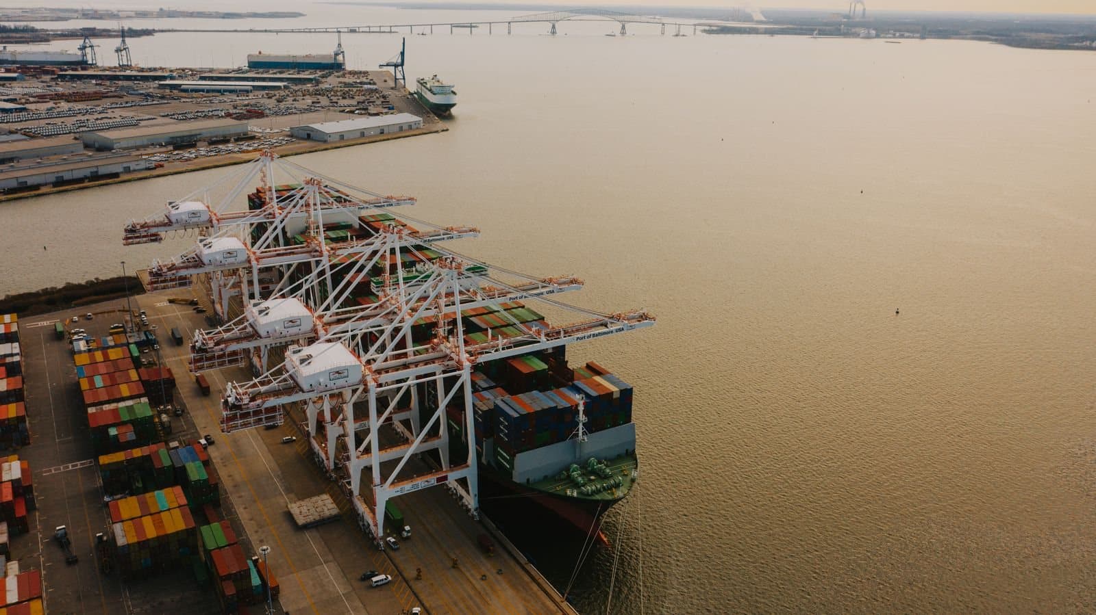 Container terminal at dusk — cargo arriving for import, customs clearance and FDA-registered distribution