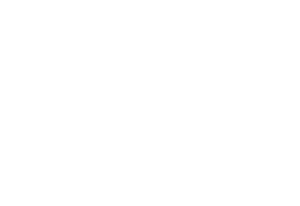 Adidas logo